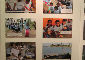 Ocean Stars Display in the Sri Lanka High Commission London