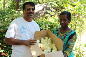 Ocean Stars Charity Donates Chickens