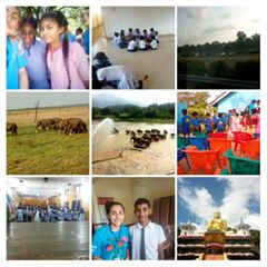 Sri Lanka Montage