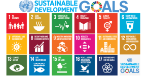 Sustainable Development Goals