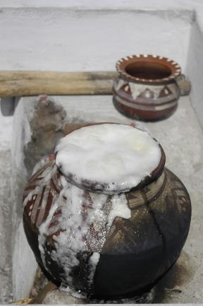 Pongal Festival