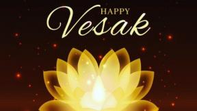 Vesak Festivals