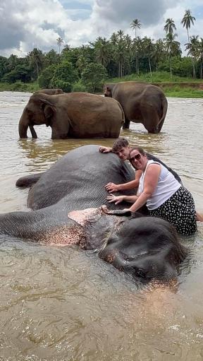 Tours around Sri Lanka