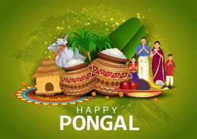 Pongal festival