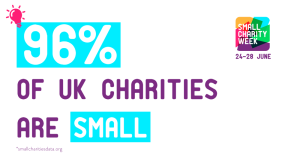 Small Charity Week