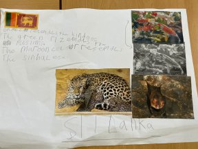 Sri Lankan inspired Art