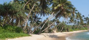 Fundraising for Ocean Stars