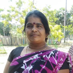 Shining Star Teacher