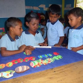The very hungry caterpillar in Kannakudah, Sri Lanka