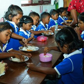 Feed a school for a year