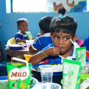 Preschool Box of Milo